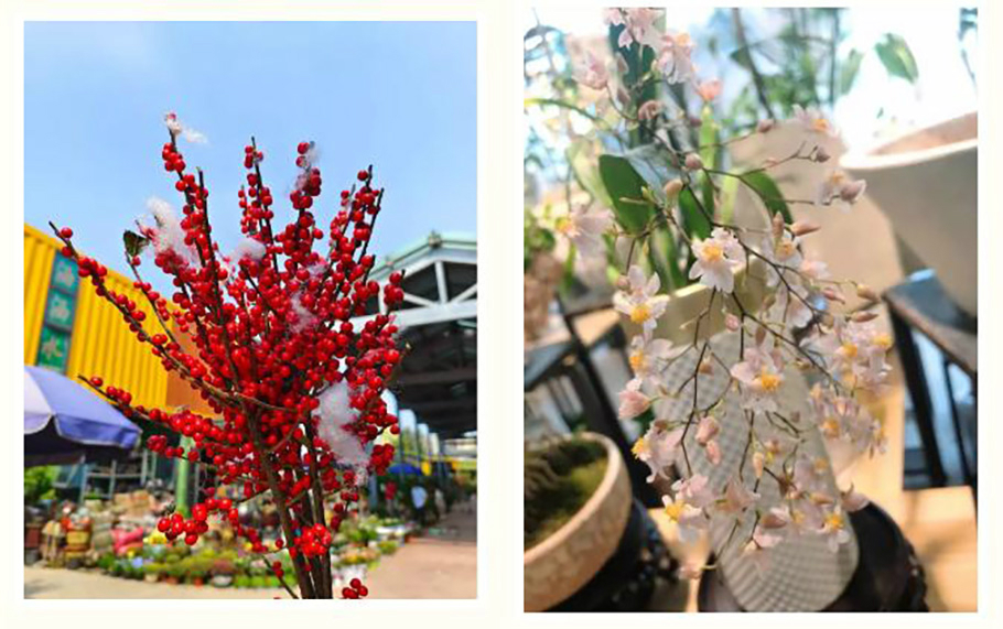 微信截图_20211109113156