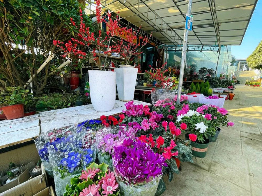 微信图片_20220326145821