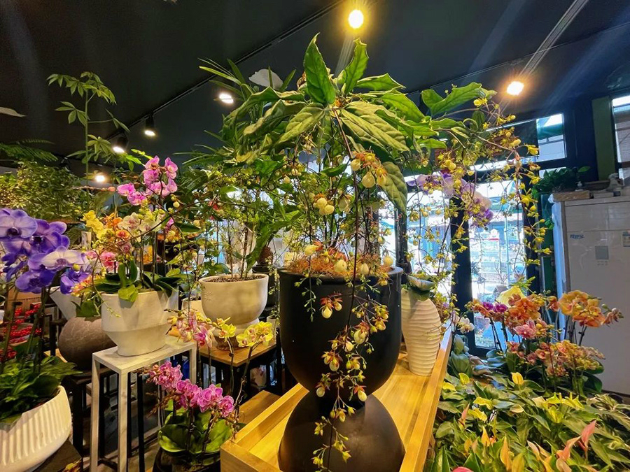 微信图片_20220326145824