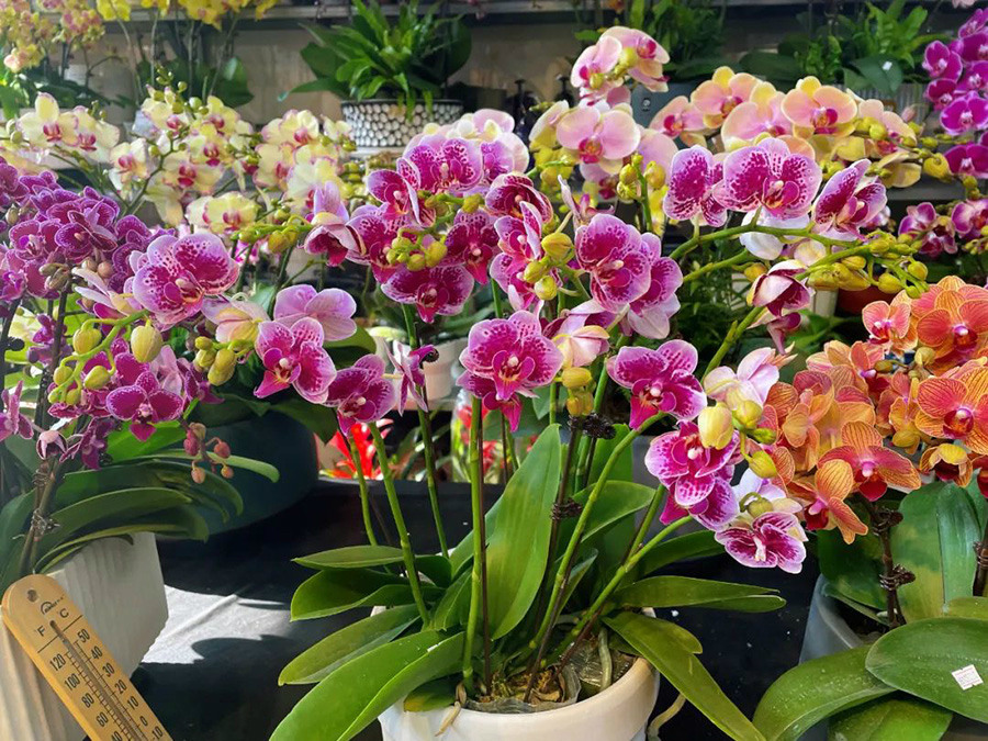 微信图片_20220326145827